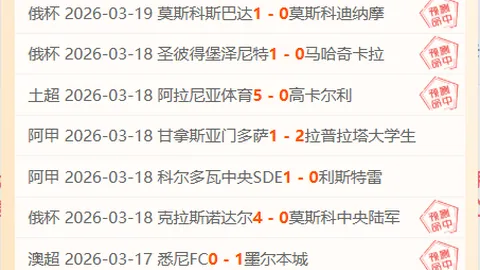 CBA8精选攻略：五步到位，自信选品，轻松驾驭！