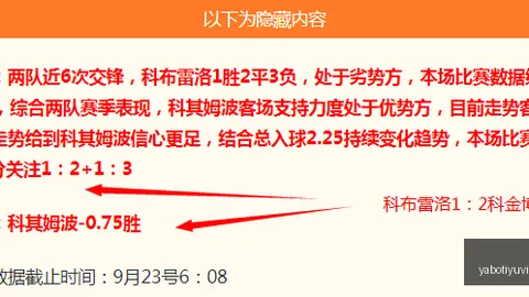 库明加勇士生涯困境解析：战术理解不足，进攻良机屡失